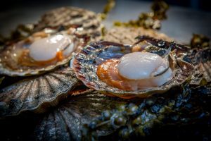Skye Commercial Photography and the Scallops of Skye